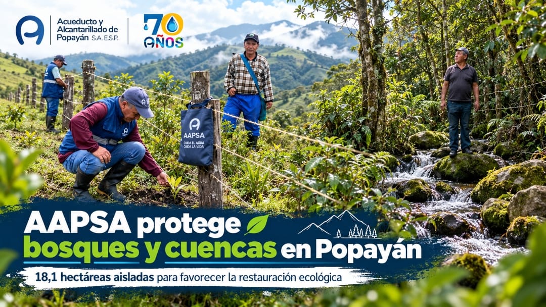 AAPSA reporta conservación de 18,1 hectáreas de bosque en cuencas que abastecen a Popayán