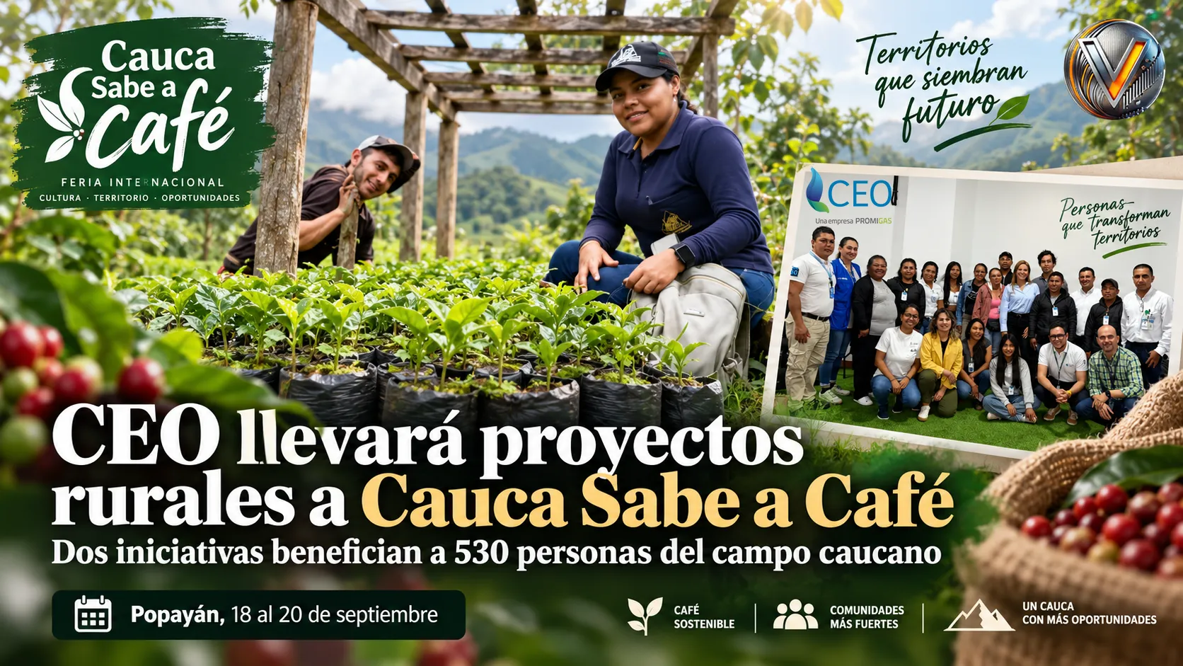 CEO llevará a Cauca Sabe a Café proyectos que benefician a 530 personas del campo caucano