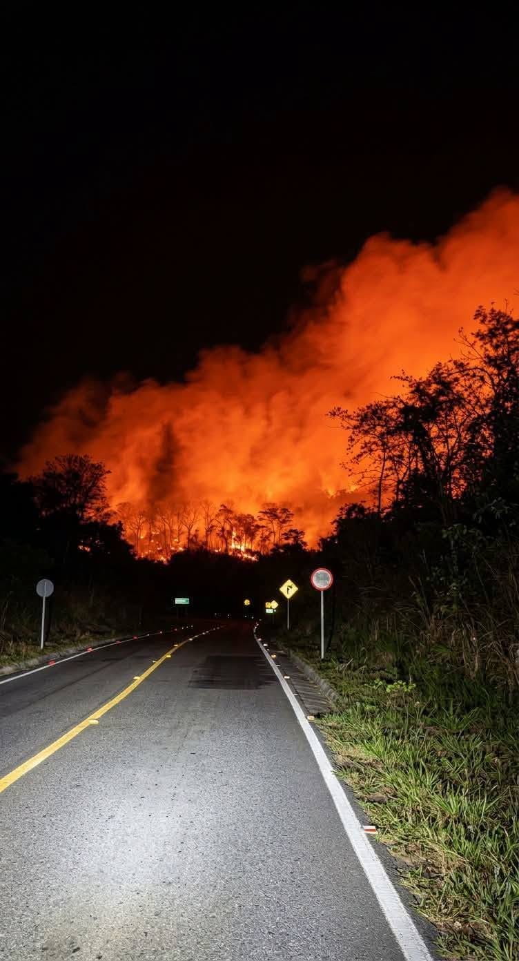 Emergencia ambiental en el Cauca: incendios forestales arrasan zonas de Silvia, Piendamó y El Tambo