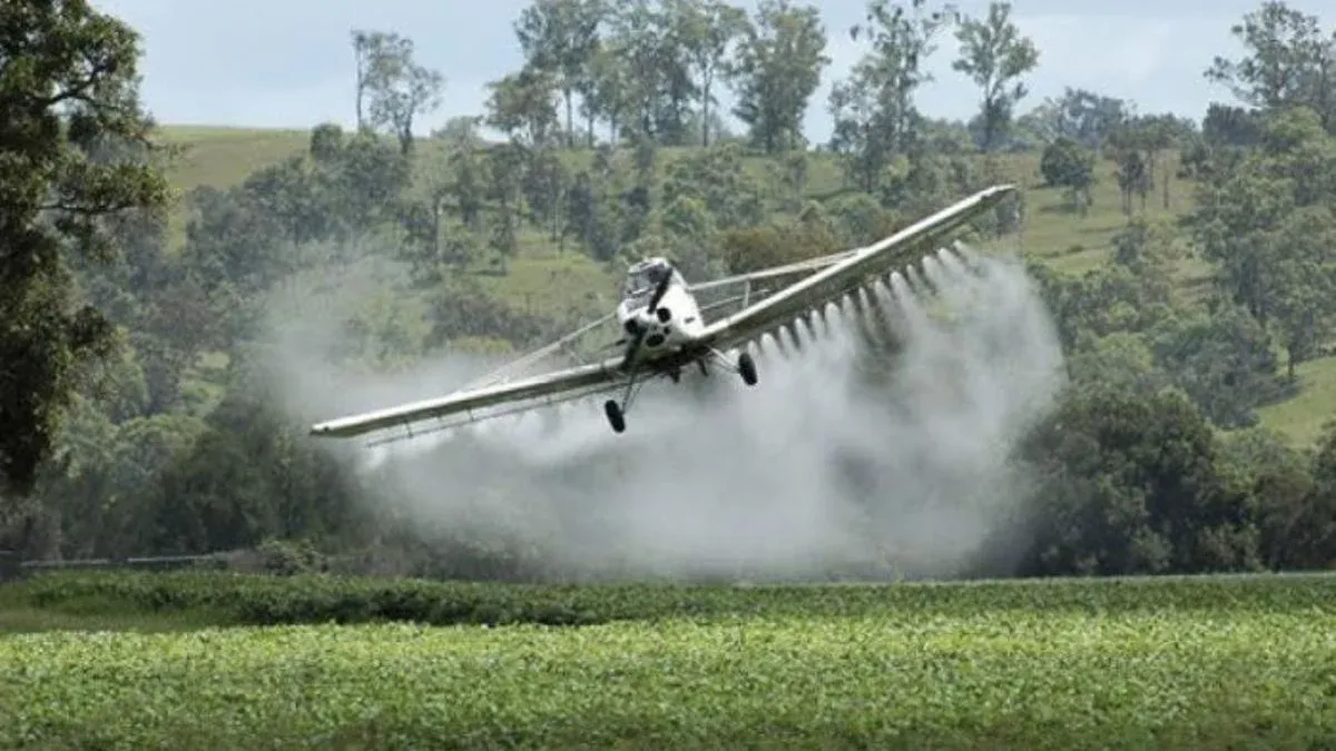 Colombia Apuesta por un Herbicida más Tóxico que el Glifosato para Erradicar la Coca en el Putumayo