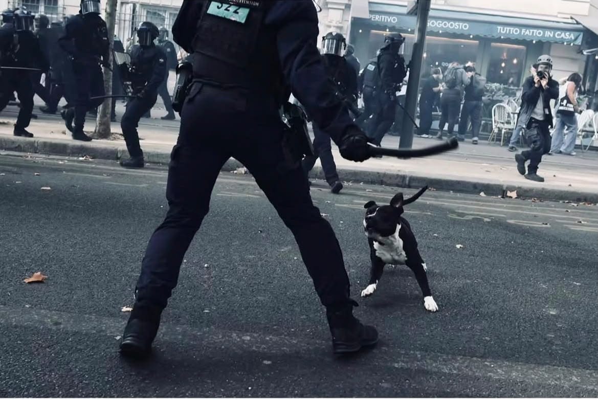 Manifestaciones por costo de vida derivan en disturbios y saqueos en varias ciudades de Francia