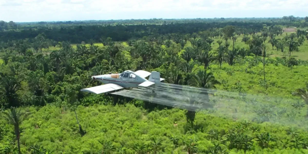 Duvalier Sánchez cuestiona piloto con glufosinato de amonio en Putumayo