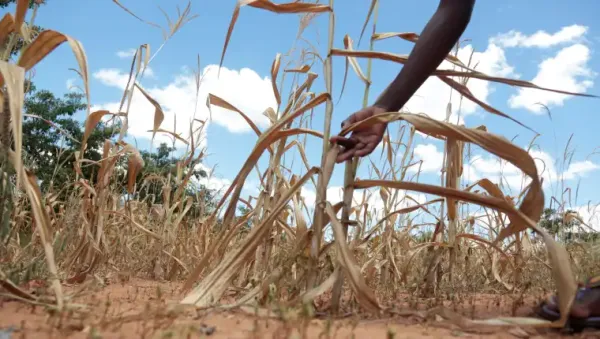 Colombia se prepara para el fenómeno de El Niño que podría durar seis meses