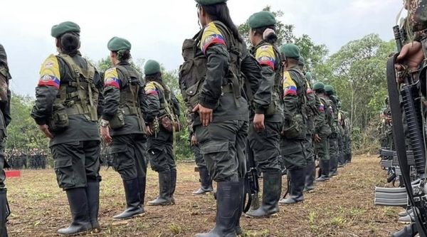 Disidencias acusan al Ejército de incumplir decreto de cese de hostilidades en el Cauca