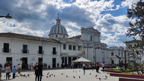 En Popayán se adelantan acciones para garantizar la salubridad en ventas ambulantes