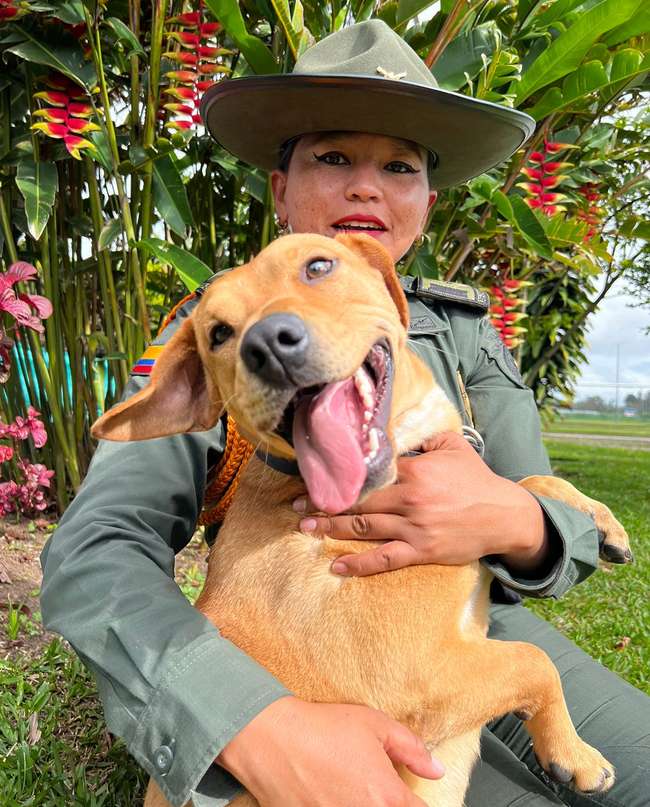 Killer, el perrito que fue curado por ángeles verde oliva