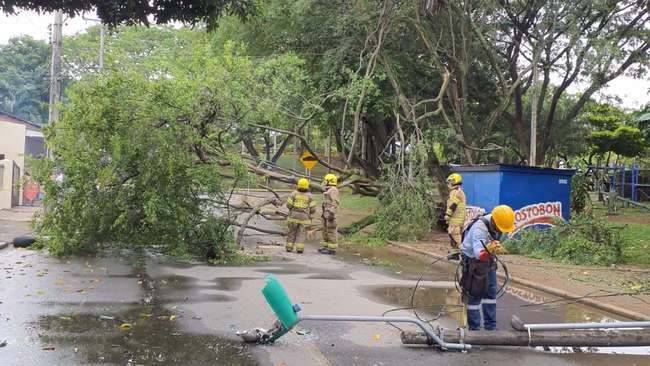 Varias emergencias en diferentes puntos de la ciduad