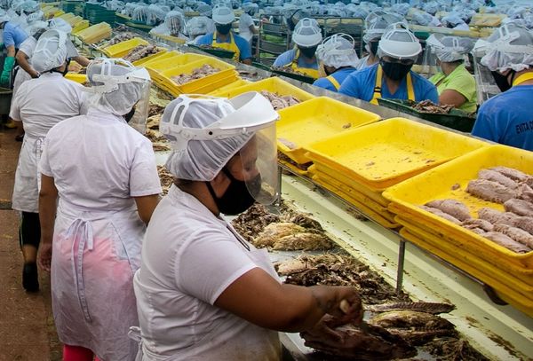 Atún Van Camp’s estaría obligando a mujeres a usar pañal para no dejarlas ir al baño en horario laboral