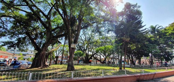 Puerto Tejada: pistolero llegó a velorio y disparó contra asistentes
