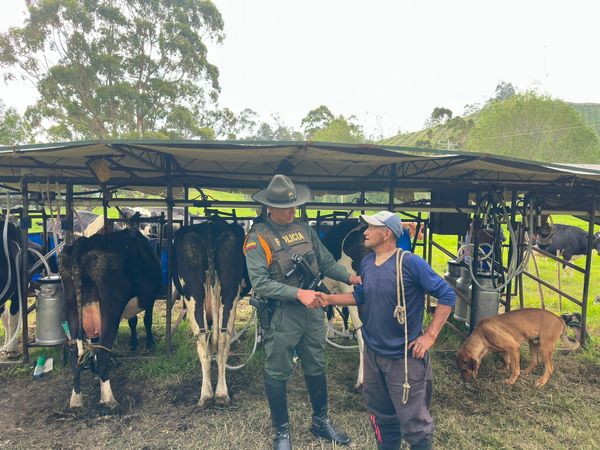 Brindan seguridad en los territorios campesinos de Puracé