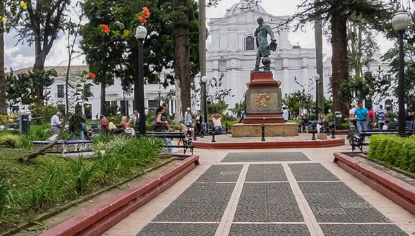 Intervendrán árboles del Parque Caldas que ya cumplieron su vida útil