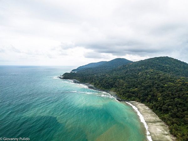 Isla Gorgona será centro de investigación científica y de turismo de naturaleza mundial