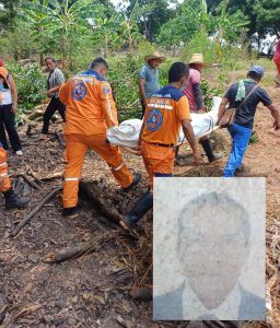 Un hombre murió luego de ser impactado por la rama de un árbol