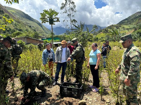 Del Cañón del Micay a su mesa