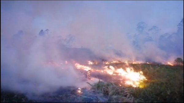 Bomberos Popayán activó Plan de Emergencia, 15 incendios en un fin de semana