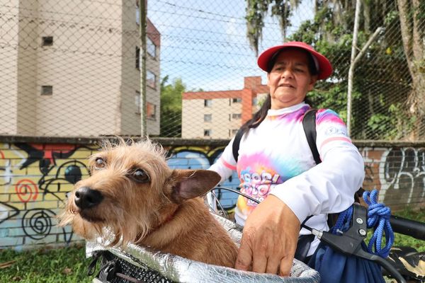 En Alianza con los peluditos y la fauna urbana