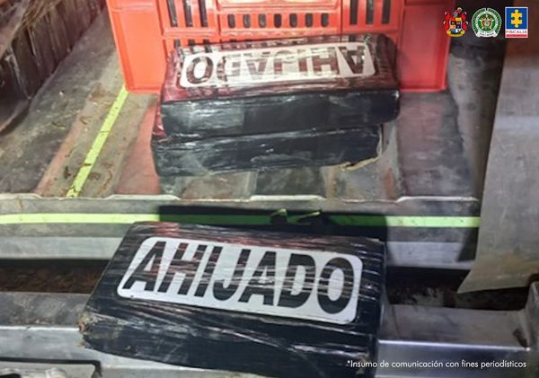 Cayó cargamento de cocaína del "ahijado" perteneciente a las disidencias del Cauca