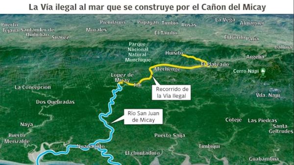 Construcción ilegal de una carretera en el Cañón del Micay, Cauca: Control y cobro de impuestos por grupos armados