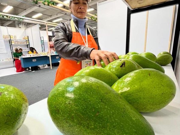 Más de mil asociaciones campesinas del país participan en la Feria ‘Mejor Colombiano’ para impulsar sus productos frescos y transformados