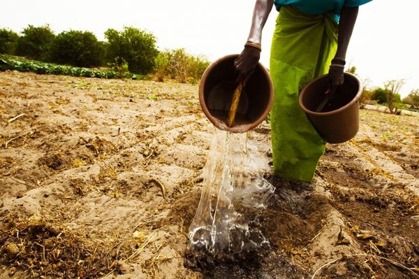 Gobierno entrega 60.720 hectáreas de tierra a comunidades afro, indígenas y campesinas del Cauca