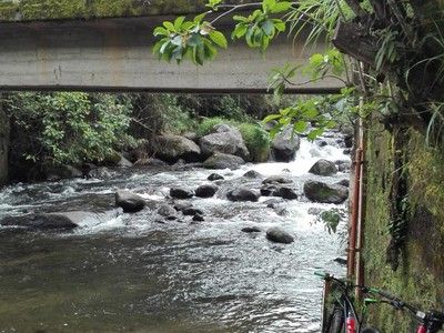 La firma de paz, convivencia y cuidado de la naturaleza en Popayán