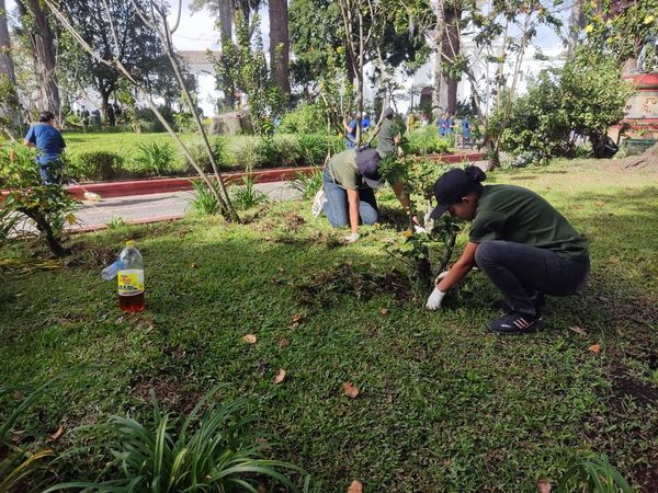 Administración Municipal lideró ‘sembratón’ en el Parque Caldas