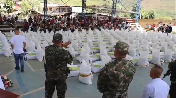 Diez toneladas de semilla de fríjol llegan a Argelia gracias a Misión Cauca