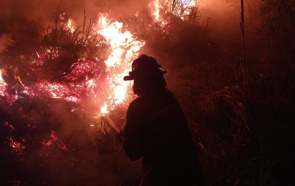 Incendios forestales no dan tregua en Popayán: ya van 70 en menos de un mes