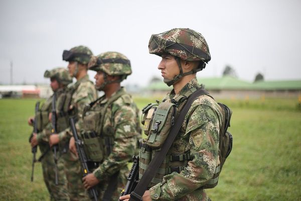 Balance de los resultados operacionales del Ejército este 2024 en Cauca, Valle y Nariño
