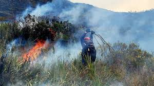 Catorce incendios de cobertura vegetal son atendidos en Cauca