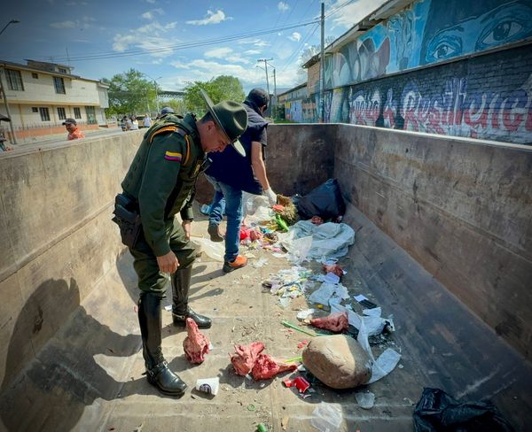 Cabezas encontradas en Camilo Torres eran de cerdo y no de perros