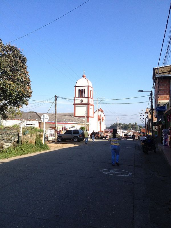 Grupo armado asesinó a un poblador de la zona rural del municipio de Piendamó, Cauca