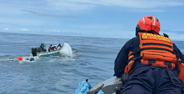 (Vídeo) Así fue el rescate de una ballena en el Oceano Pacífico