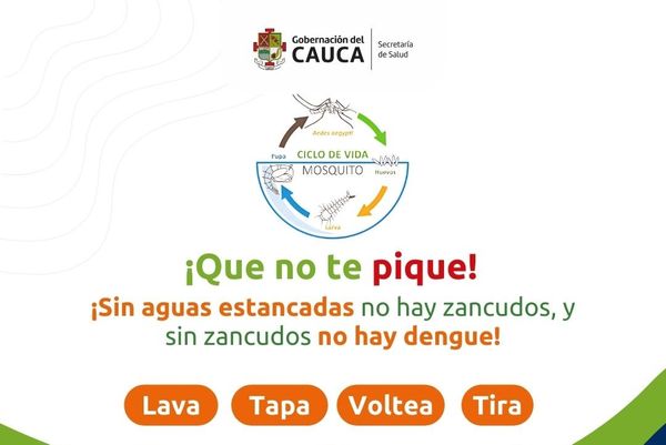 Secretaría de Salud del Cauca hace un llamado a la ciudadanía para prevenir el dengue