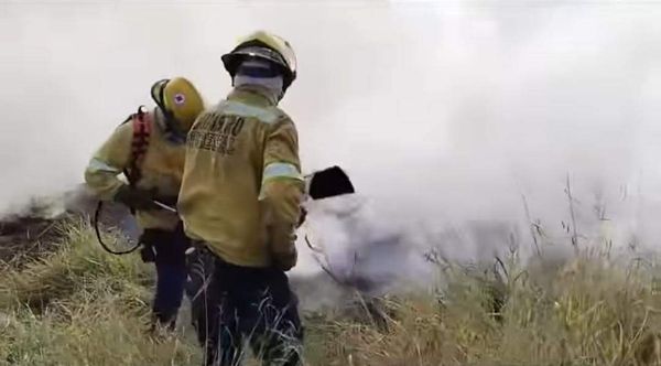 Gobernación se suma al apoyo para apagar incendio en la loma de El Tablazo