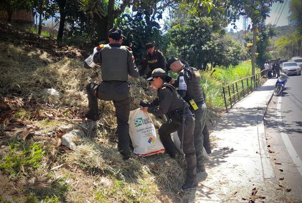 La Policía Metropolitana de y la comunidad transforman el barrio Aída Lucía con una jornada de ornato y embellecimiento