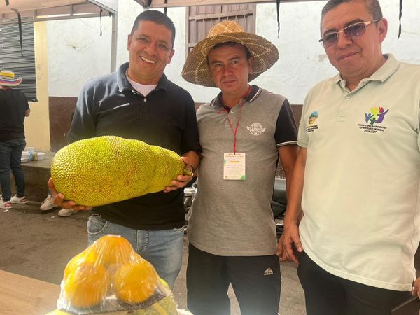 El gobernador Octavio Guzmán trabaja por los campesinos cuacanos