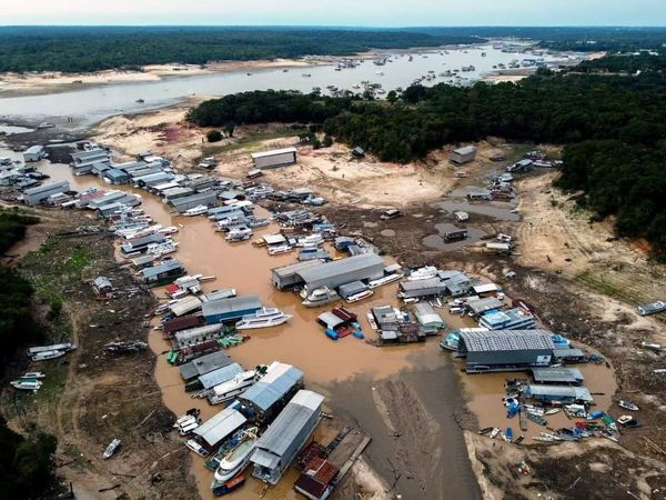 Todos a cuidar la Amazonía