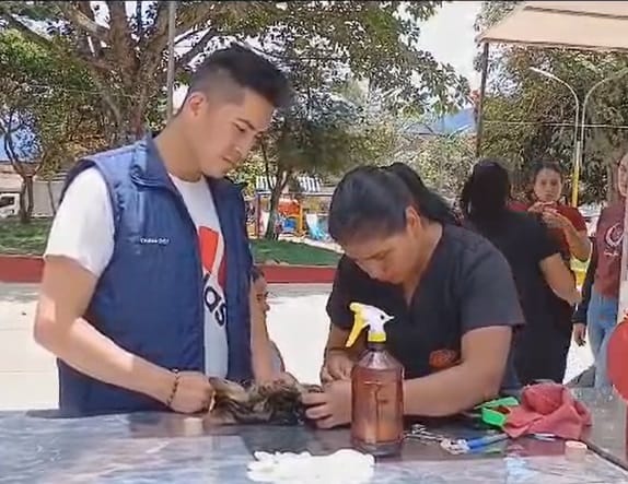 En El Plateado, Argelia, adelantaron una jornada de esterilización de perros y gatos