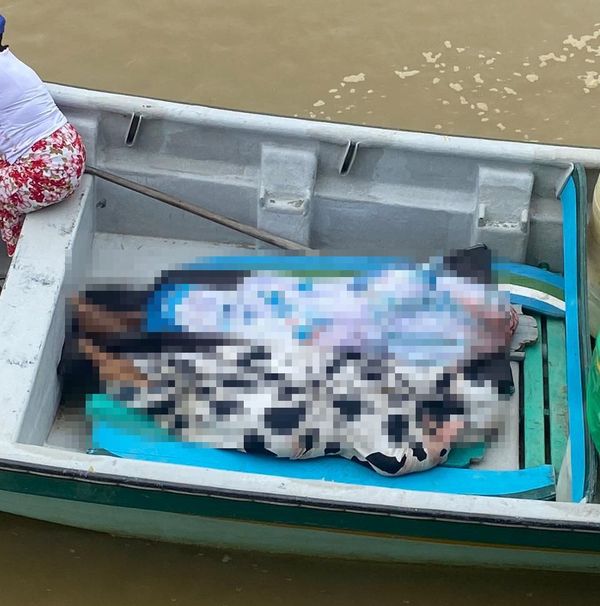 ¡La masacre que horroriza al Cauca! Doce personas asesinadas en una pugna al interior del frente Jaime Martínez de las Farc