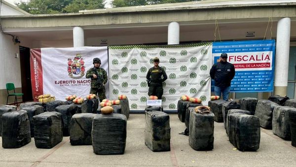 Nueva incautación de 600 kg de marihuana en el norte del Cauca