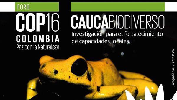 Cauca busca apoyo internacional para la conservación ambiental en la COP 16