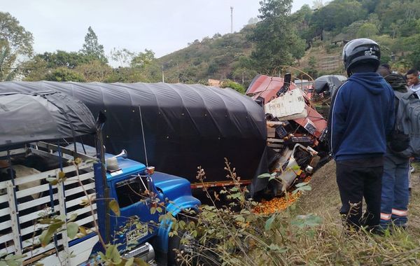 Fueron cinco los camiones los que se accidentaron en la Panamericana: un conductor murió