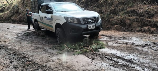 (En video) El deplorable estado de las vías rurales en Totoró