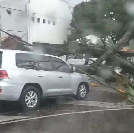 Torrencial aguacero en Cali causó varias emergencias