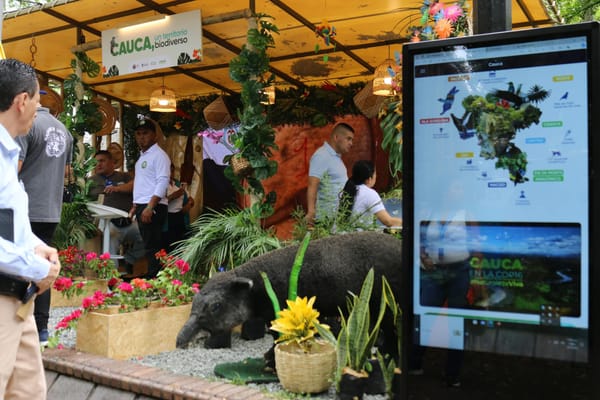 Agéndese con la programación académica del Cauca en la COP16