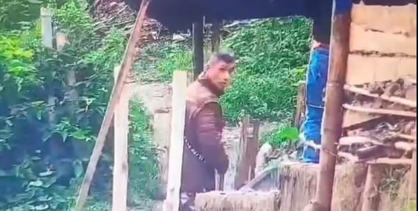 (Vídeo) Así capturaron a este "jíbaro" en la Variante de Popayán