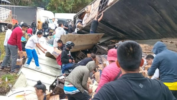 Más seguridad en la Panamericana: saqueos y piratería terrestre preocupan