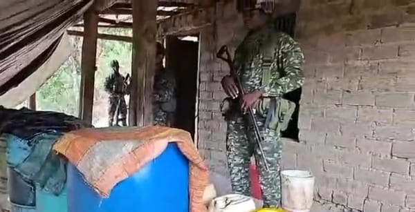 Ejército desmantela laboratorio de cocaína y semillero de amapola en La Vega, Cauca