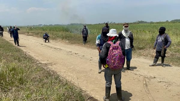 Violencia étnica en el norte del Cauca ha disminuido